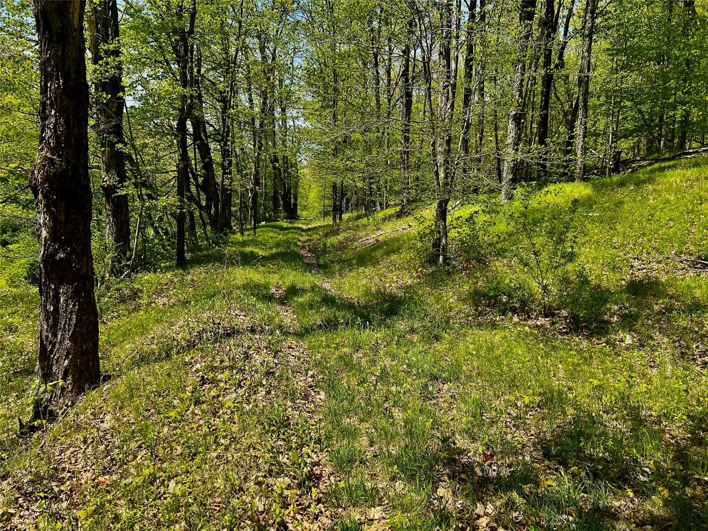 4 West Hill Road Photo 17