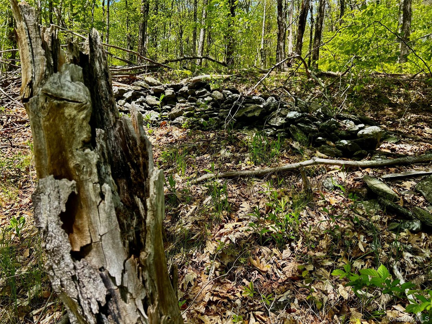 4 West Hill Road Photo 20