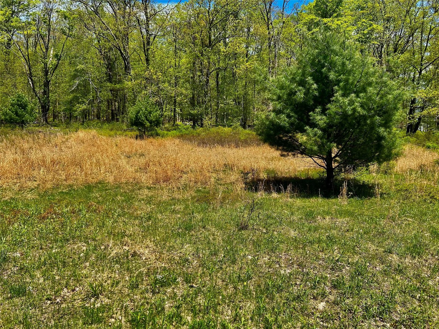 4 West Hill Road Photo 13