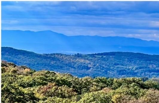 4 West Hill Road Photo 12