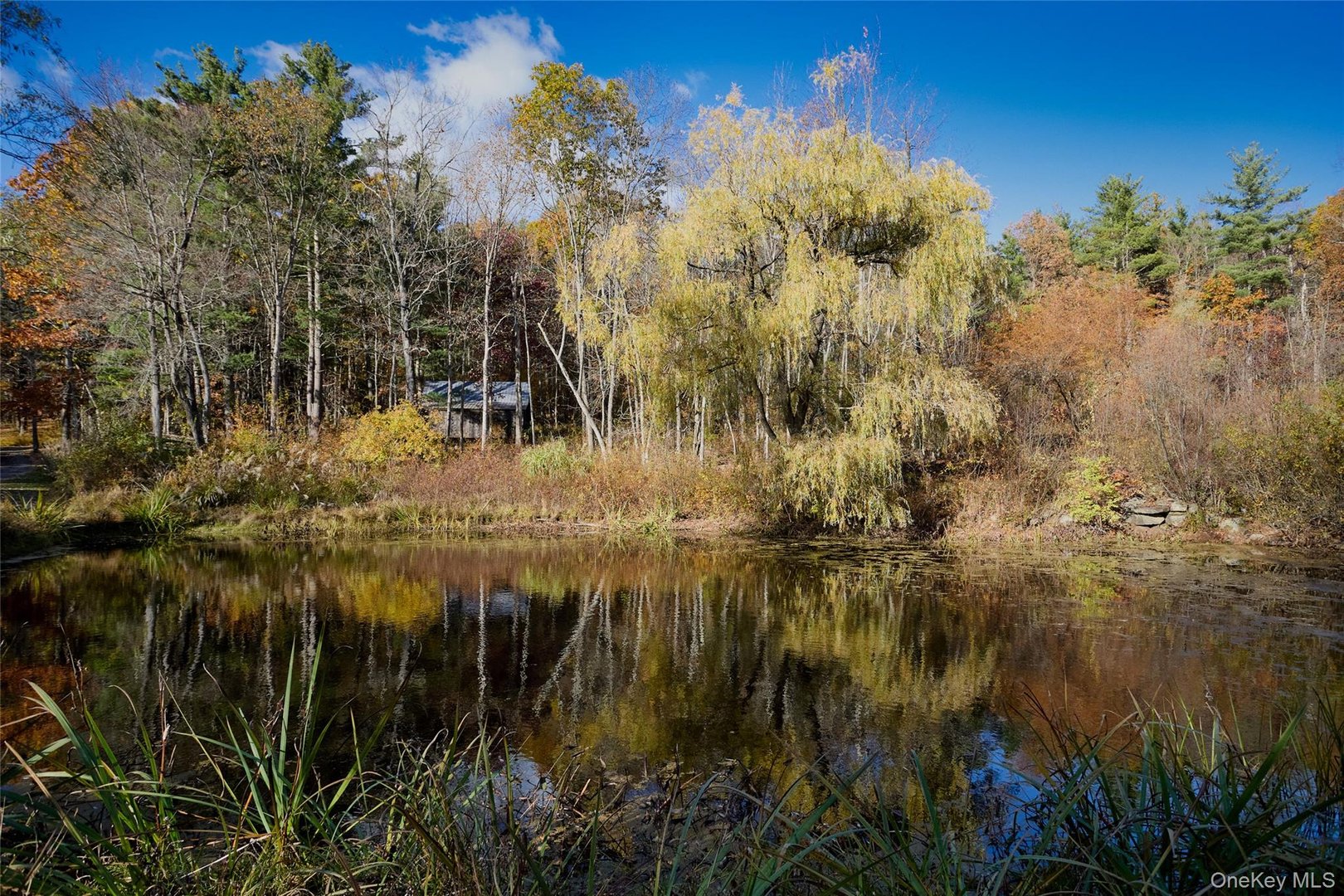 40 Engel Road Photo 5