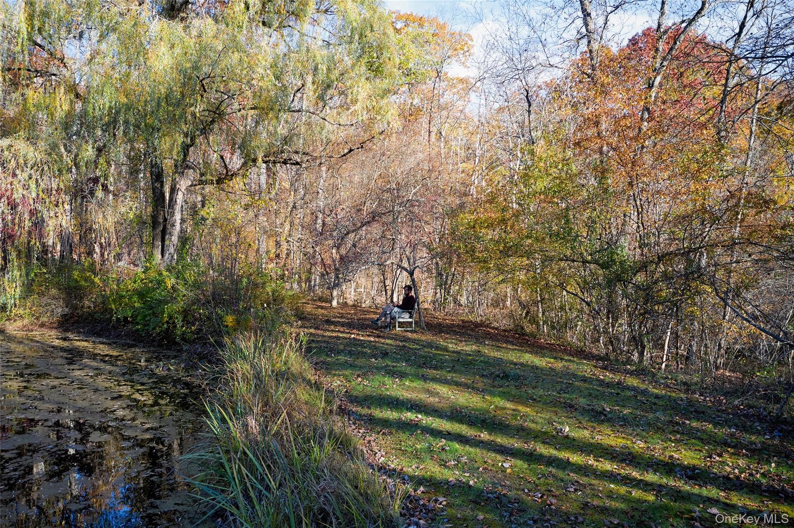 40 Engel Road Photo 24