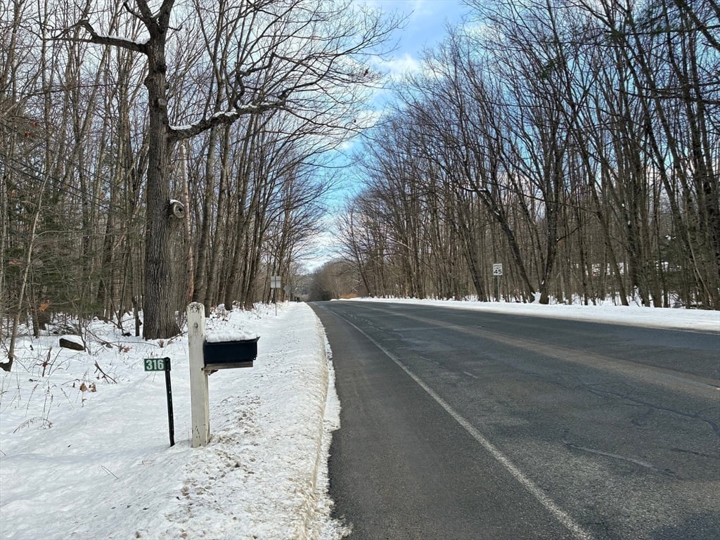 316 Main Road Photo 17