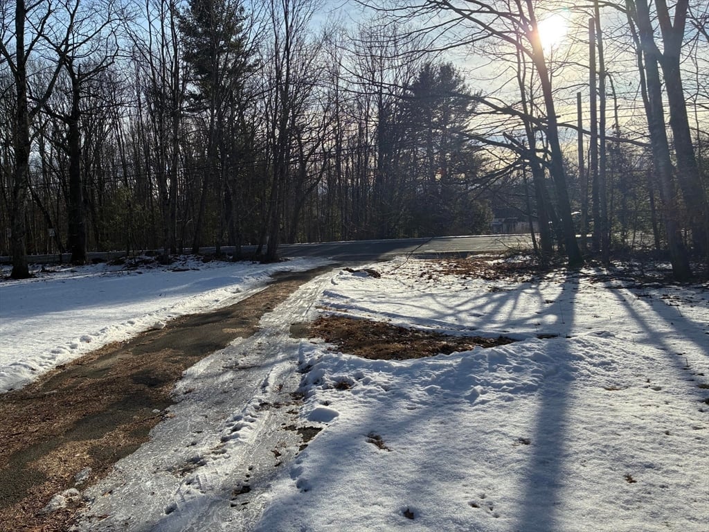 316 Main Road Photo 19