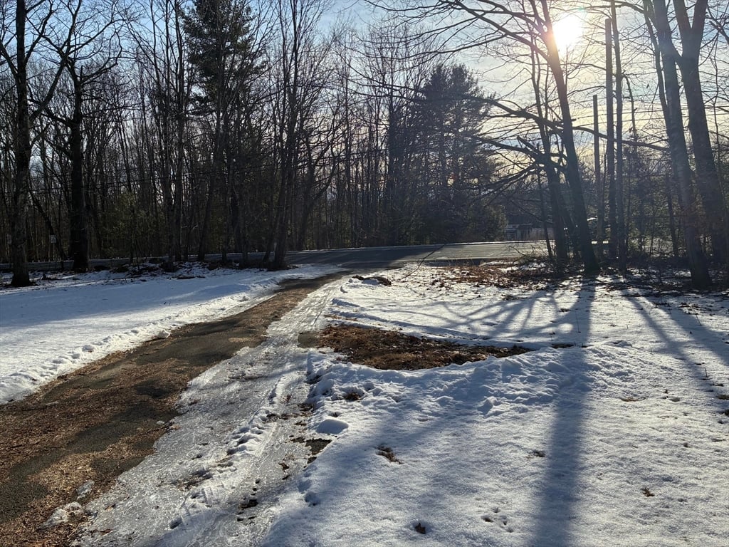 316 Main Road Photo 20