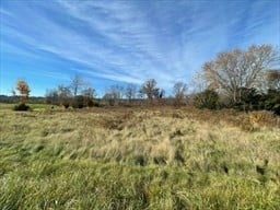 355 Greenfield Rd Photo 11