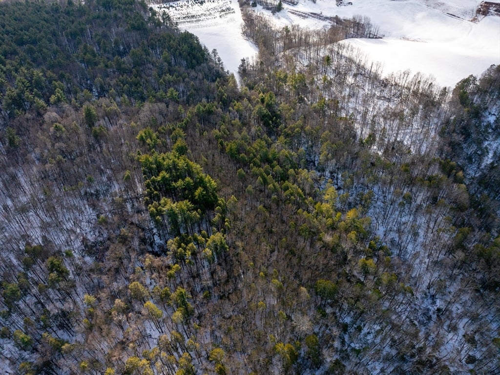 00 Brook Rd Photo 13