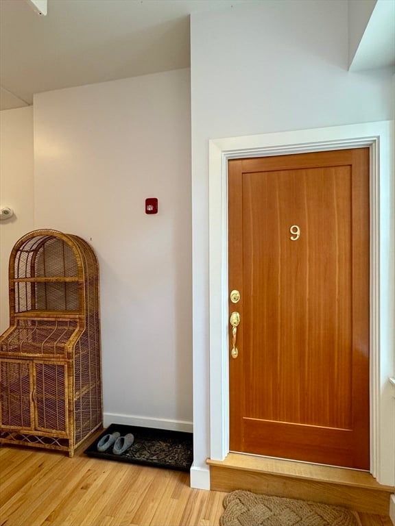 10 Deerfield Ave  #9 Photo 19