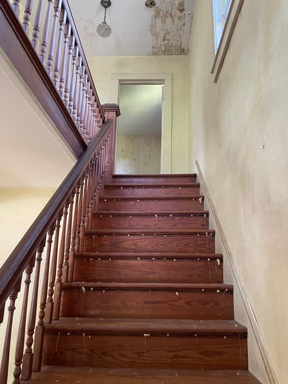 239 River Road Photo 18