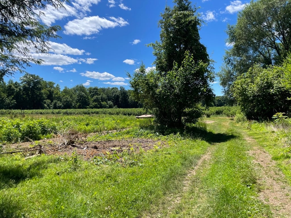 239 River Road Photo 34