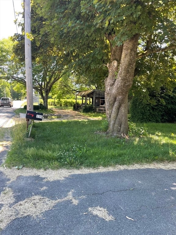239 River Road Photo 9