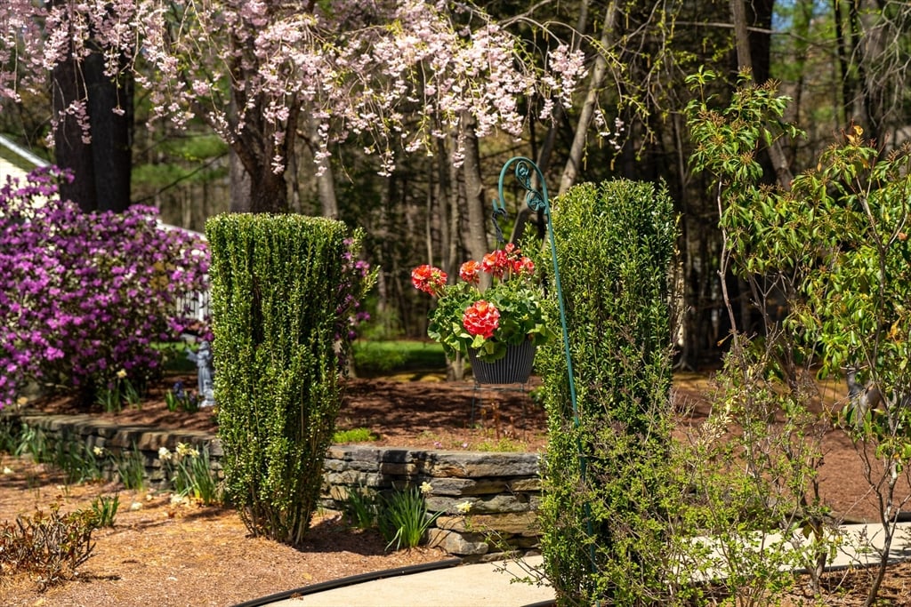 5 Golden Circle Photo 15