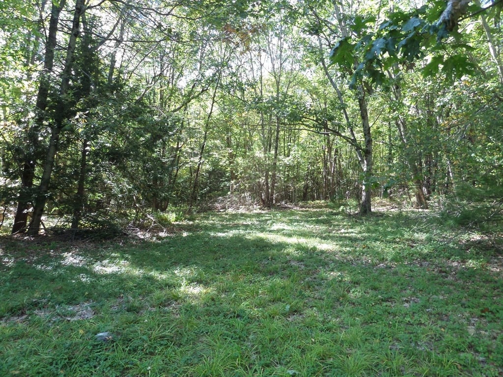 0 Stage Road Photo 2