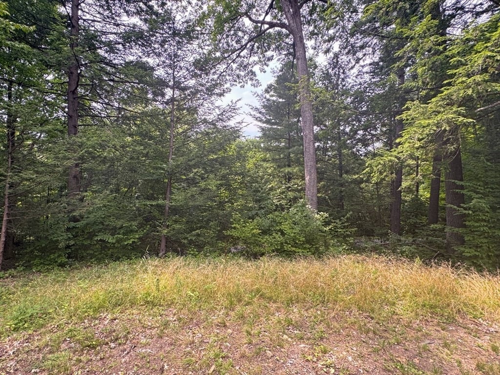 14 Wood Way Photo 36