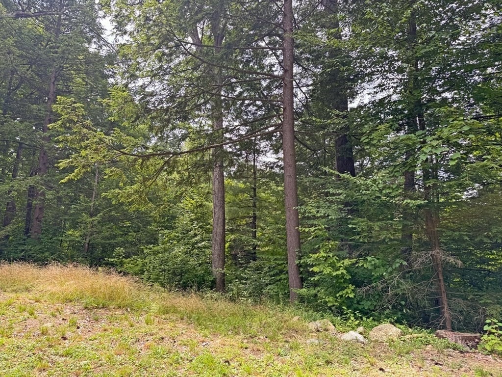 14 Wood Way Photo 35