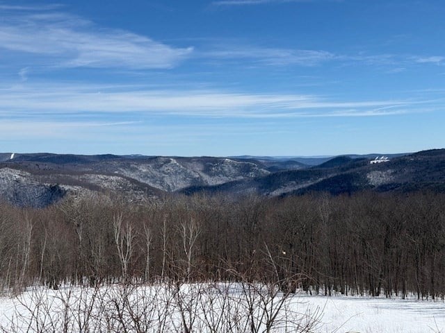 335 Mohawk Trail Photo 9