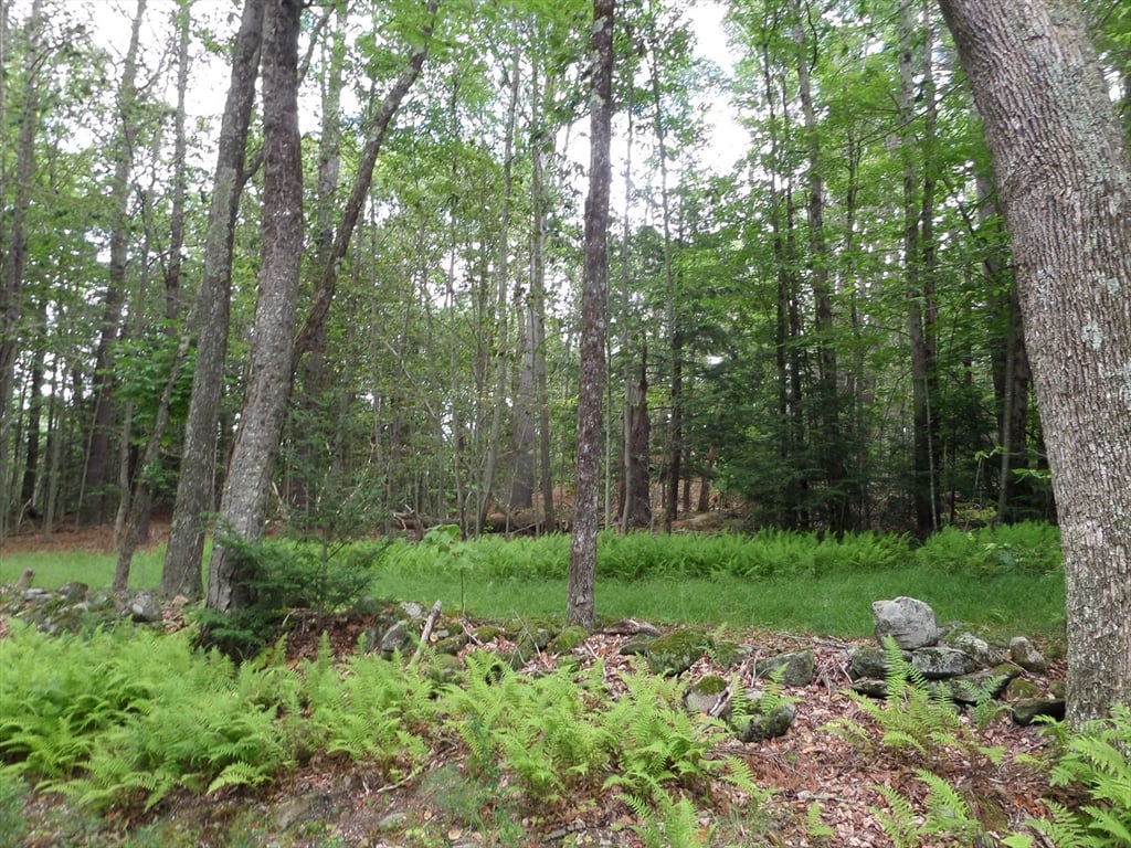 0 Pynchon Rd Photo 1