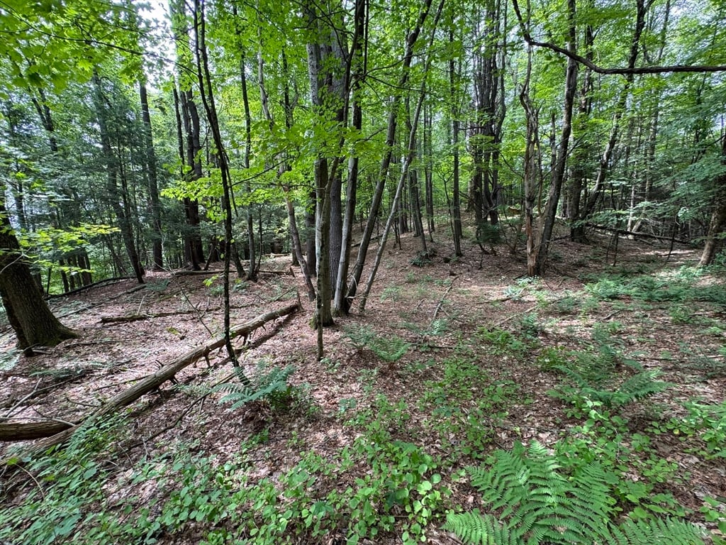 0 North Street Photo 6