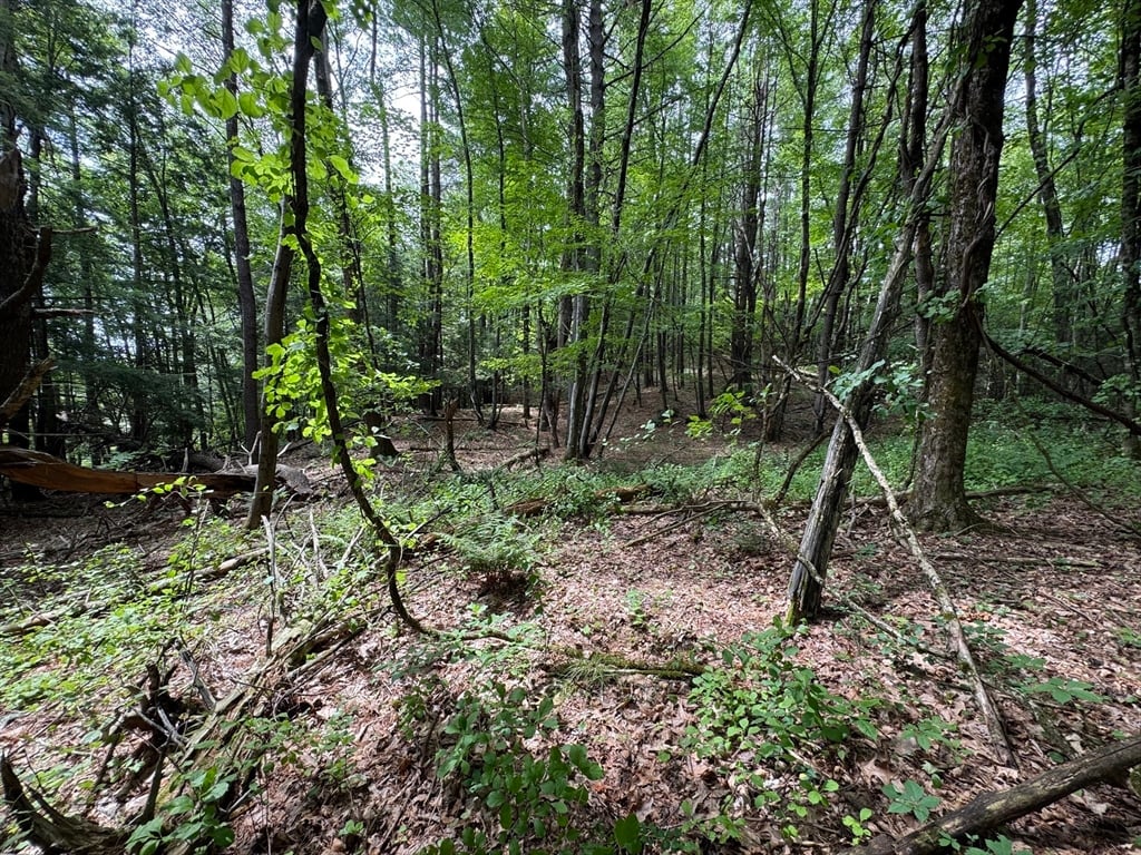 0 North Street Photo 5