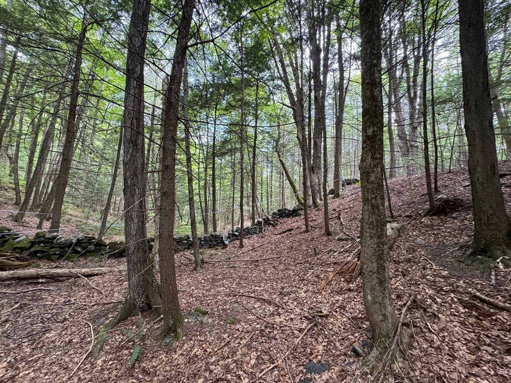 0 North Street Photo 1