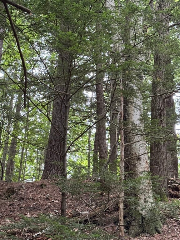 0 North Street Photo 8