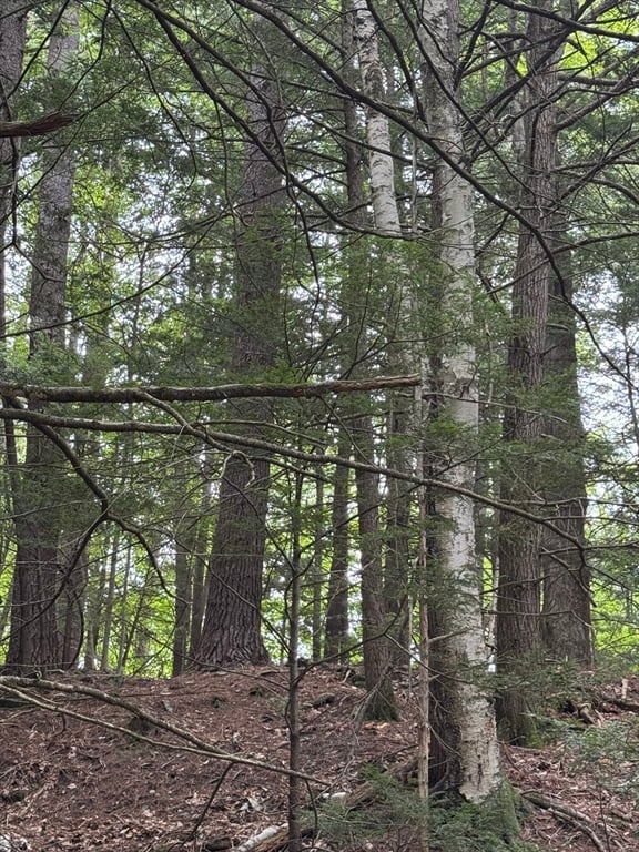 0 North Street Photo 9