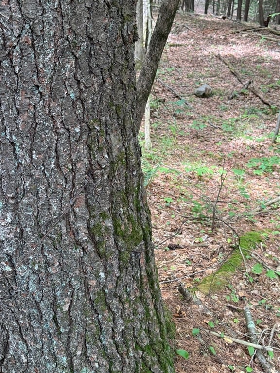 0 North Street Photo 3