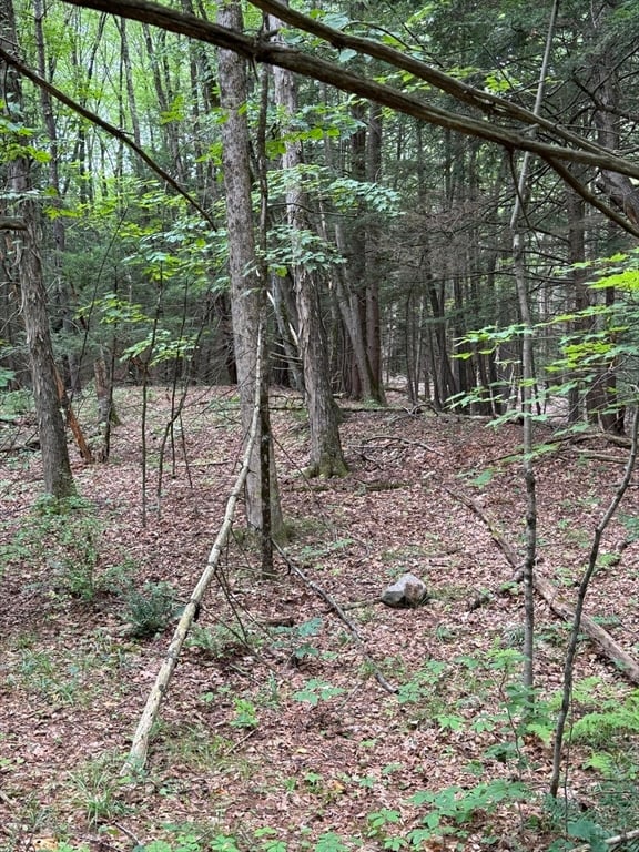 0 North Street Photo 2