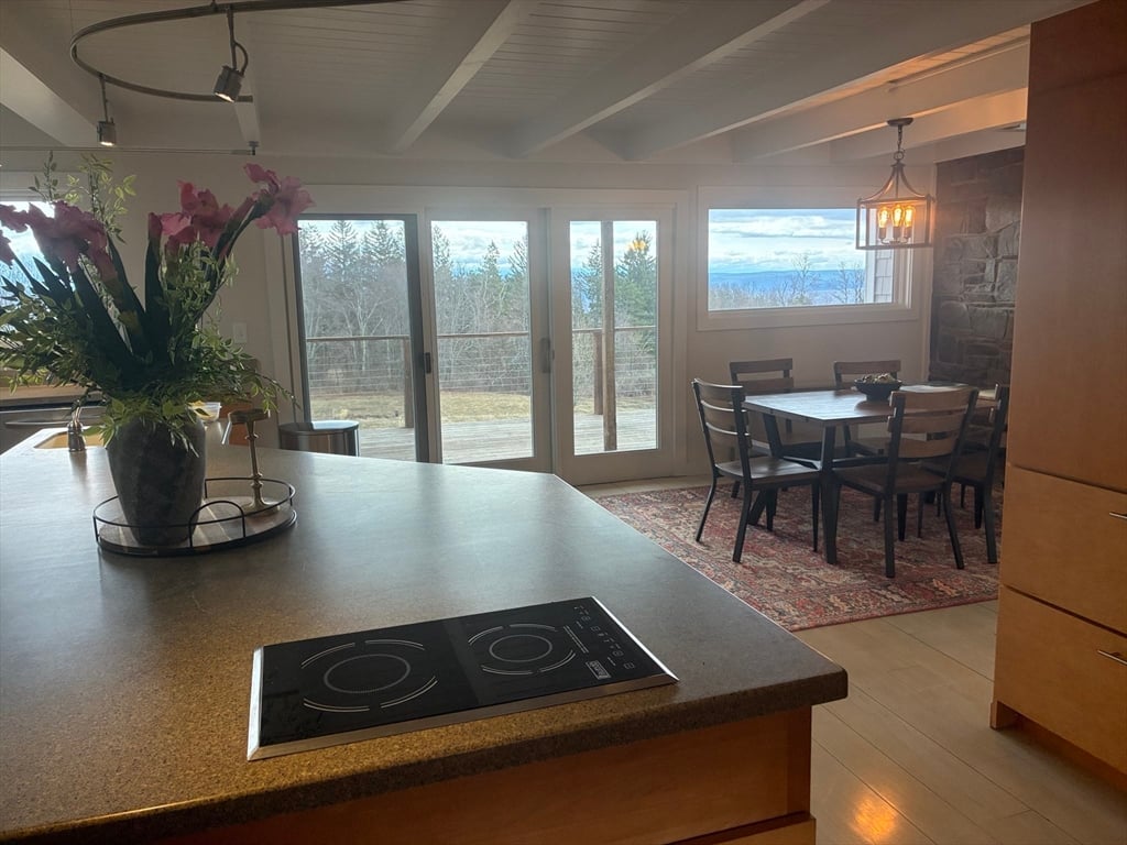 169 Old Albany Road Photo 9