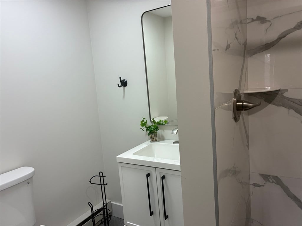 169 Old Albany Road Photo 10