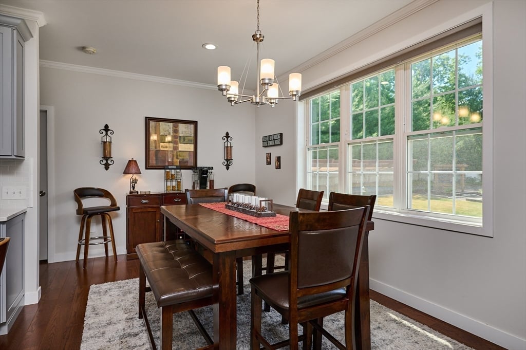 46 Pomeroy Street Photo 15