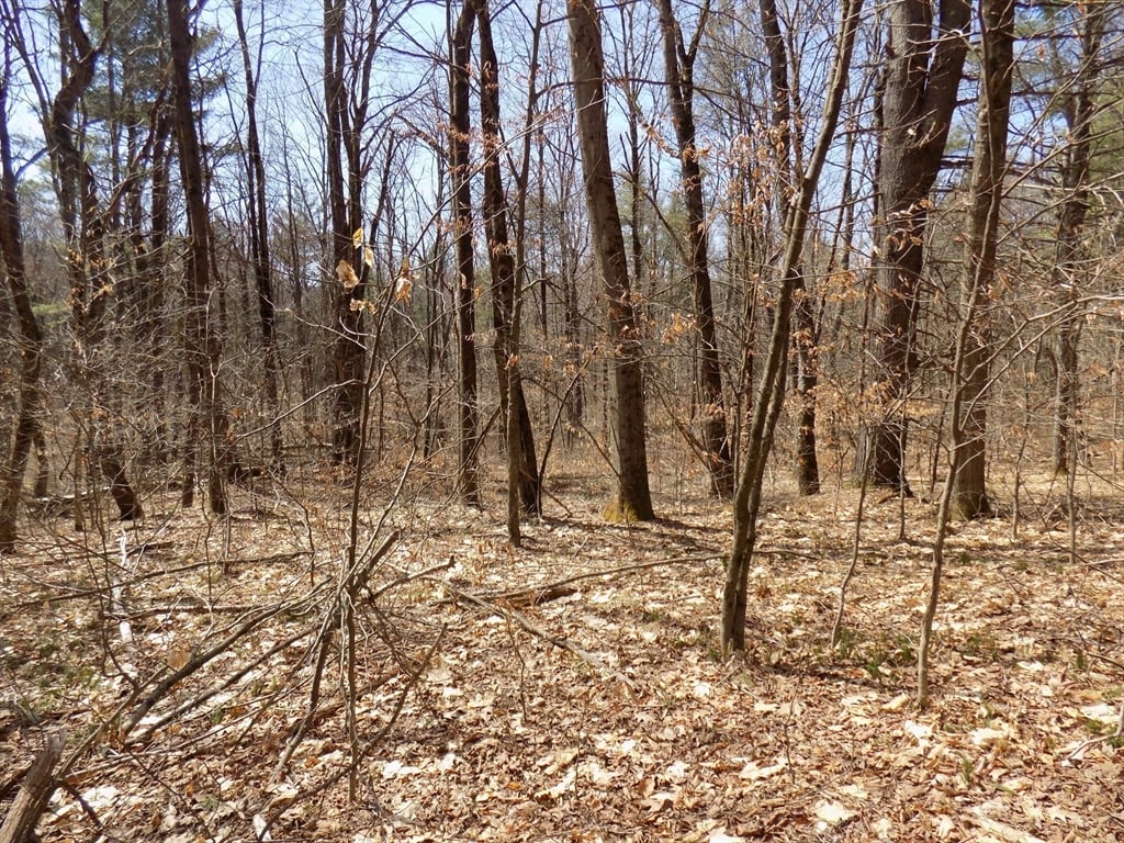 0 Summit Hill Rd. Lot 3 Photo 6