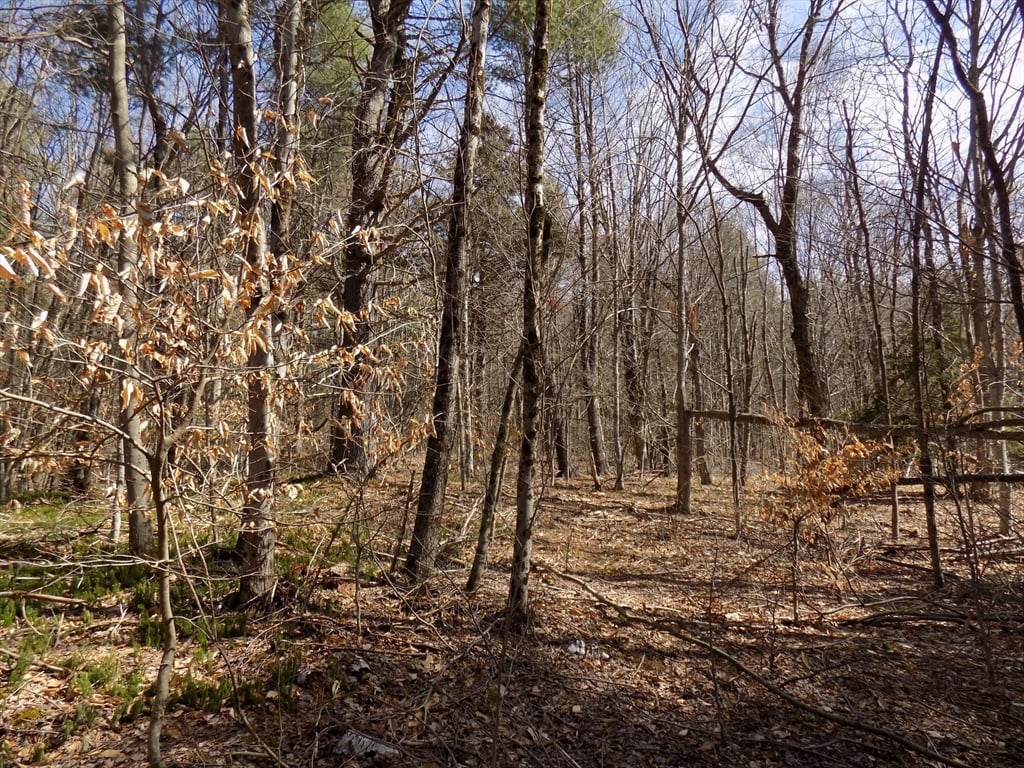 0 Summit Hill Rd. Lot 3 Photo 12