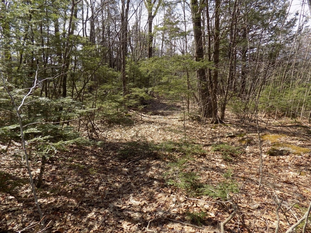 0 Summit Hill Rd. Lot 3 Photo 5