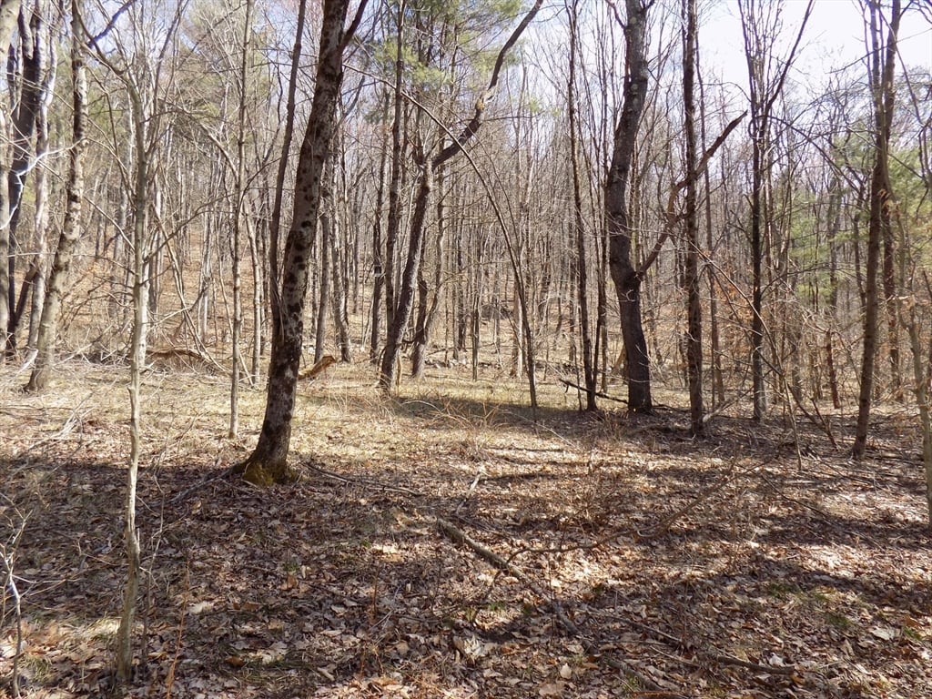 0 Summit Hill Rd. Lot 3 Photo 15