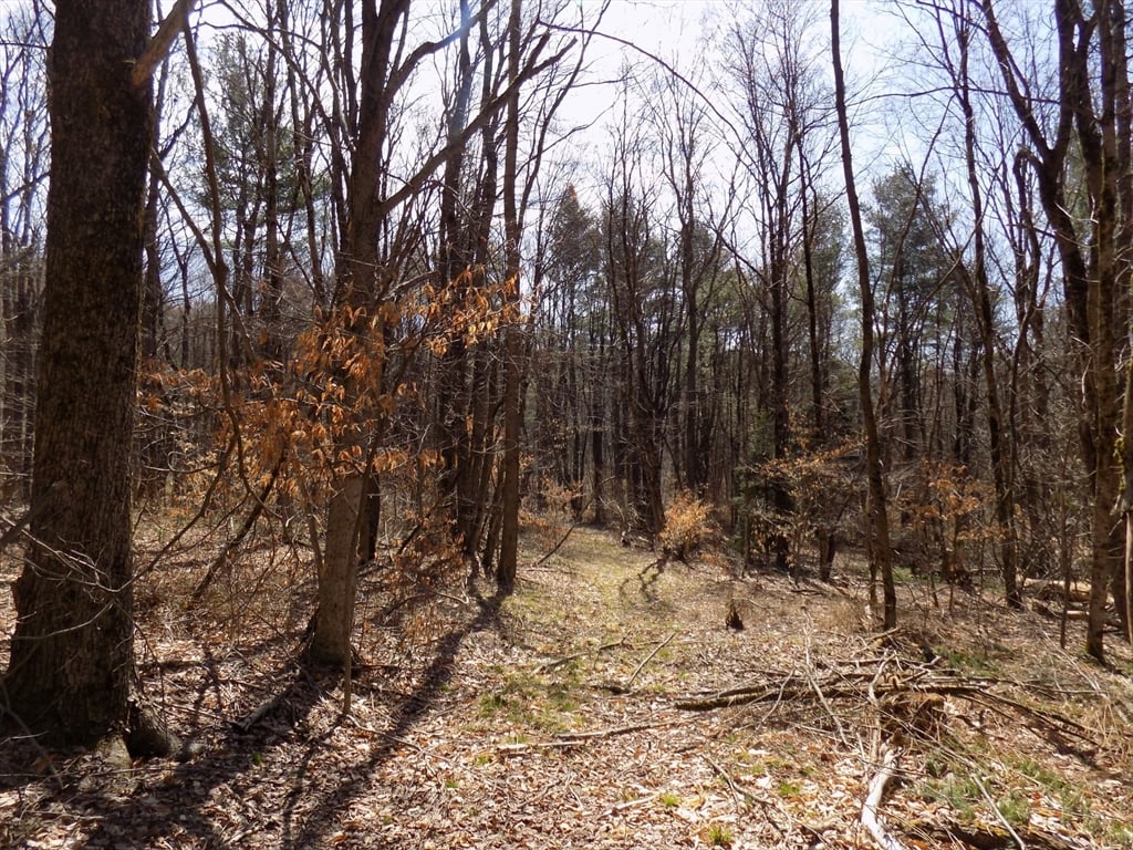 0 Summit Hill Rd. Lot 3 Photo 14