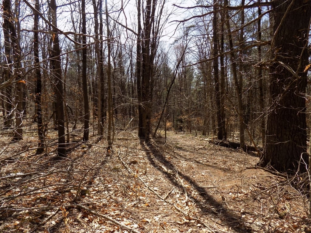 0 Summit Hill Rd. Lot 3 Photo 13