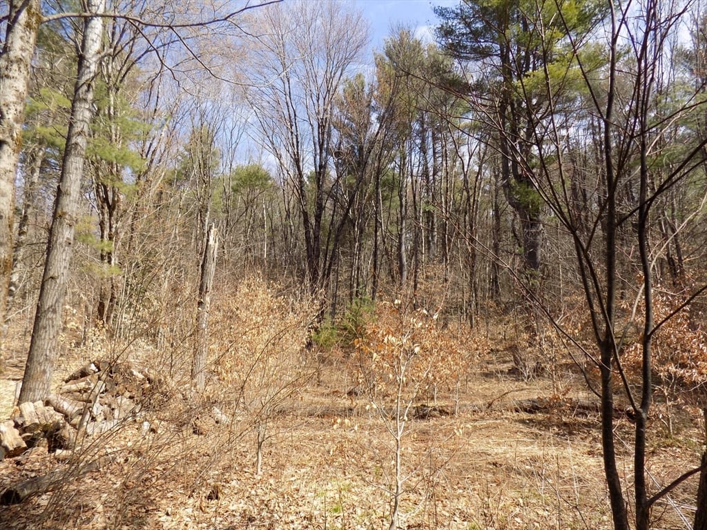 0 Summit Hill Rd. Lot 3 Photo 11