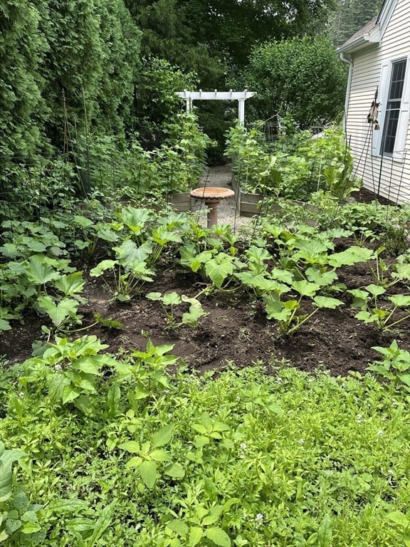 70 Salem Rd Photo 35