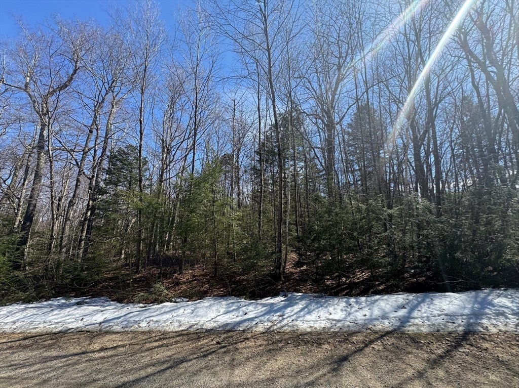 Lot 7 Skyline Ridge Rd. Photo 4