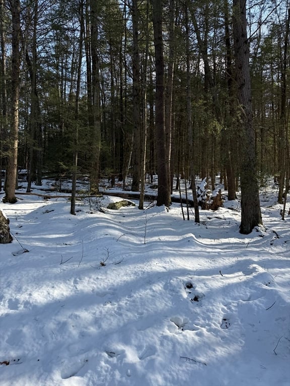 0 Four Mile Brook Rd Photo 3