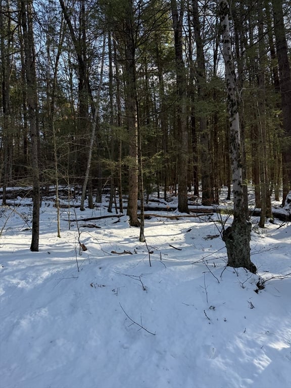 0 Four Mile Brook Rd Photo 4