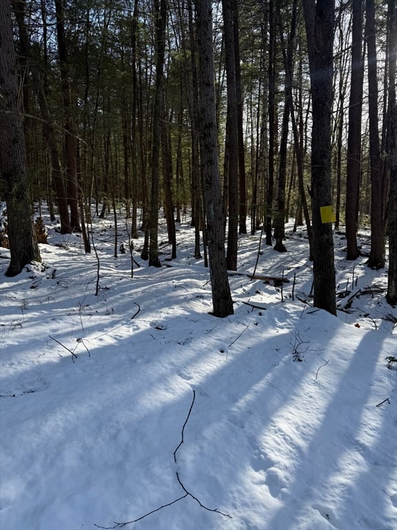 0 Four Mile Brook Rd Photo 10