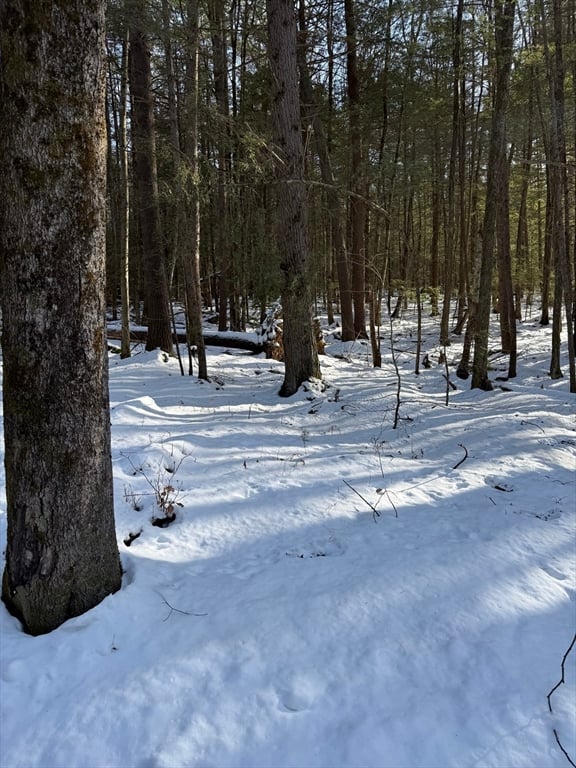 0 Four Mile Brook Rd Photo 11