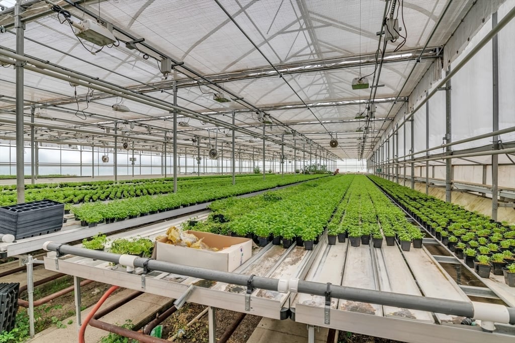 62 Christian Ln Photo 8