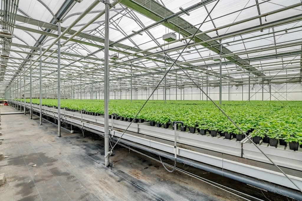 62 Christian Ln Photo 6