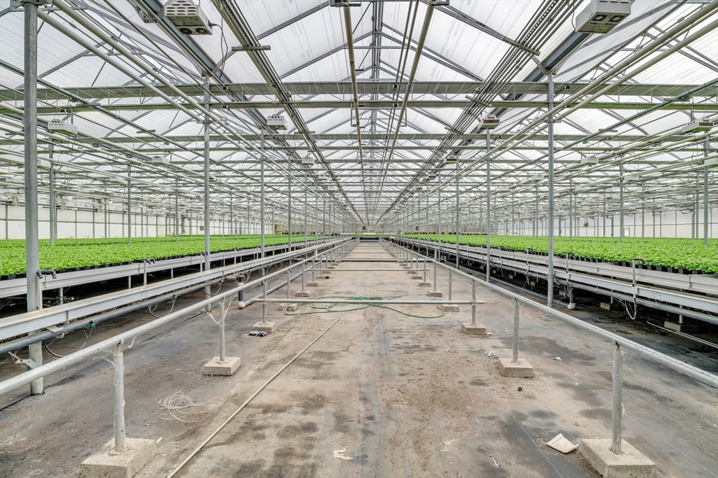 62 Christian Ln Photo 5