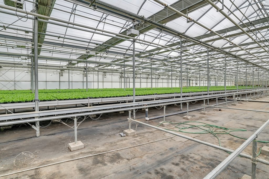 62 Christian Ln Photo 7