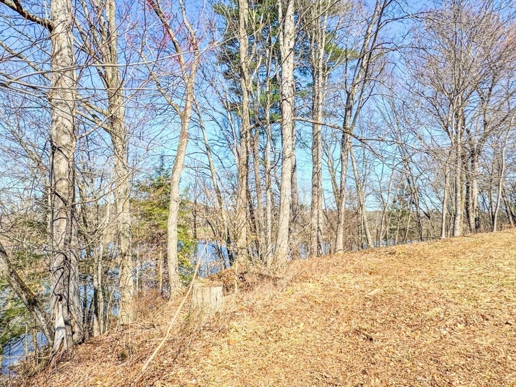 0 Meadowview Ln & Pine Meadow Rd Photo 7