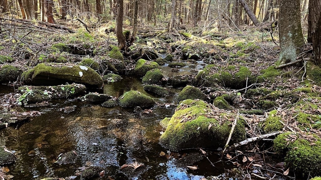 Lot 1 Marcy Road Photo 15